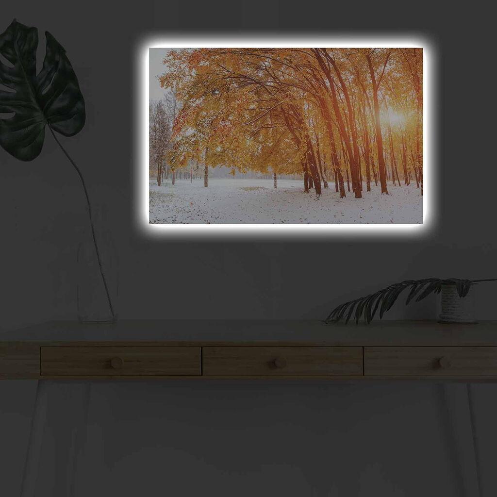 Zidna slika sa LED osvetljenjem 4570DHDACT-118, 45x70 cm