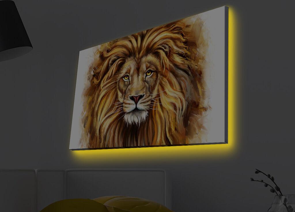 Zidna slika sa LED osvetljenjem 4570MDACT-021, 45x70 cm