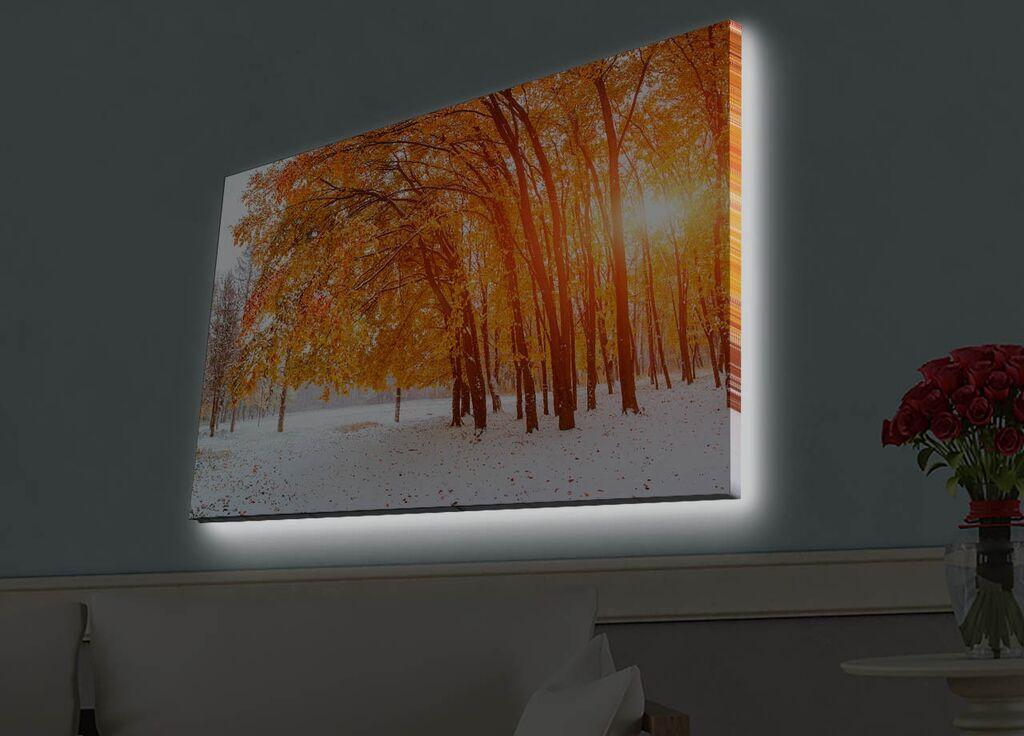 Zidna slika sa LED osvetljenjem 4570HDACT-044, 45x70 cm