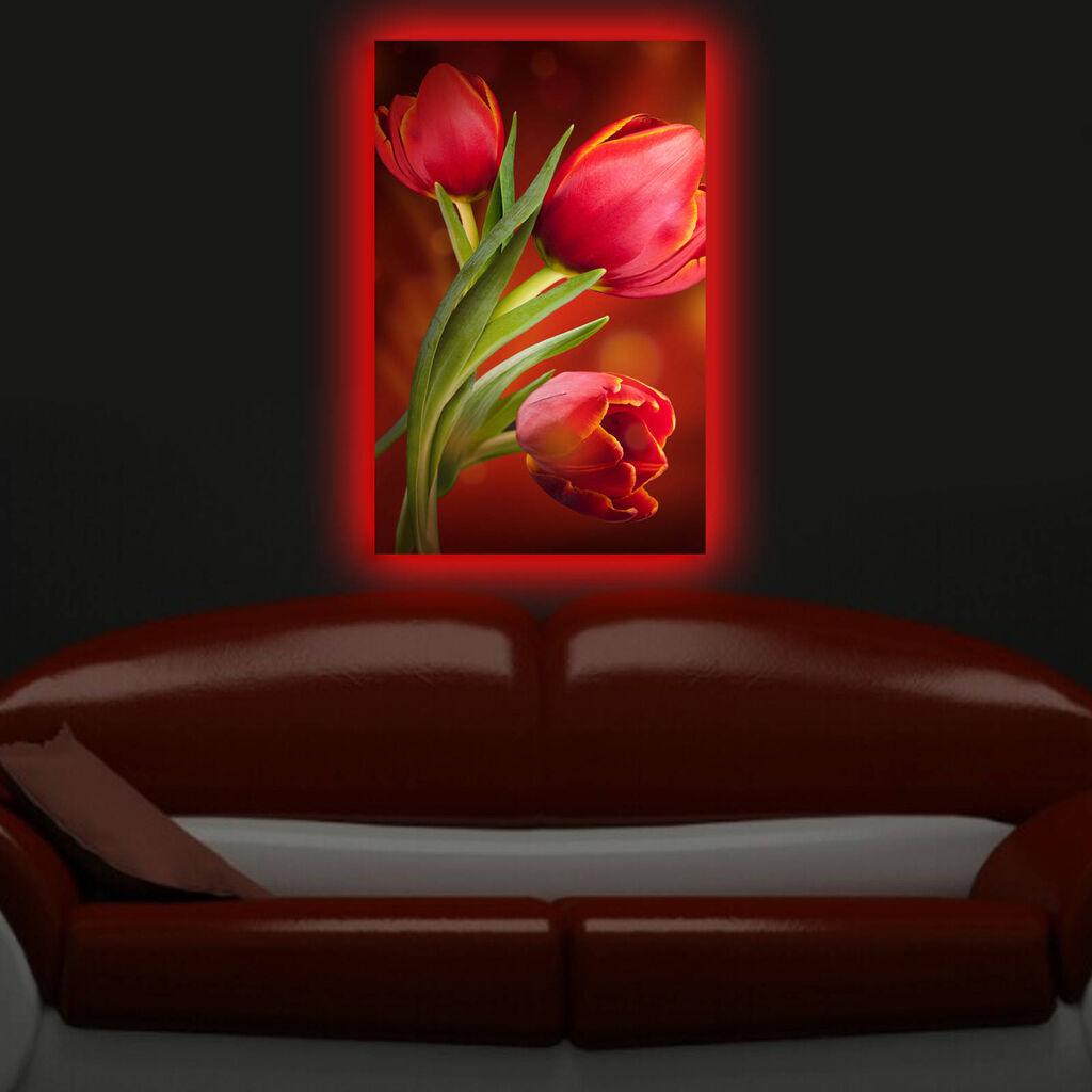 Zidna slika sa LED osvetljenjem 4570DACT-28, 45x70 cm