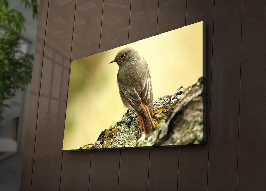 Zidna slika sa LED osvetljenjem 4570IACT-65, 45x70 cm