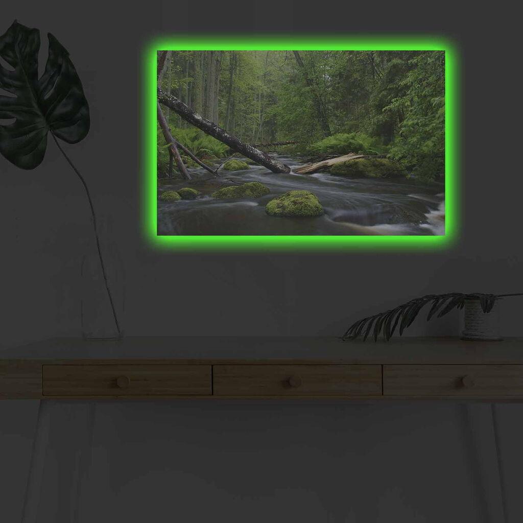 Zidna slika sa LED osvjetljenjem 4570DHDACT-003, 45x70 cm