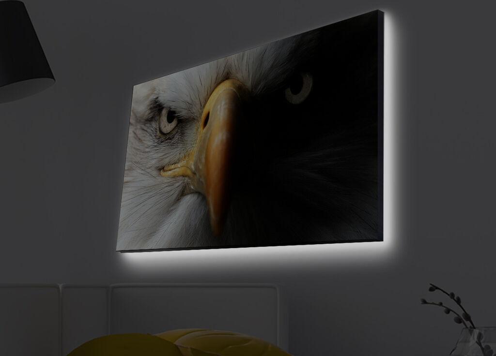 Zidna slika sa LED osvetljenjem 4570MDACT-025, 45x70 cm