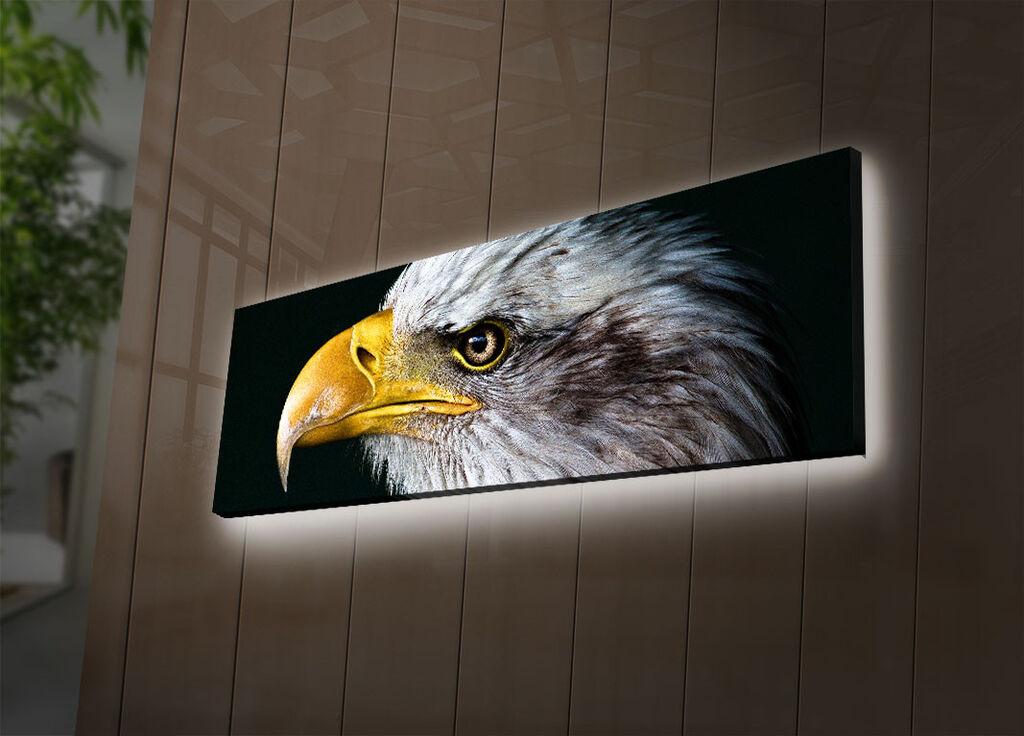 Zidna slika sa LED osvetljenjem 3090DACT-62, 30x90 cm