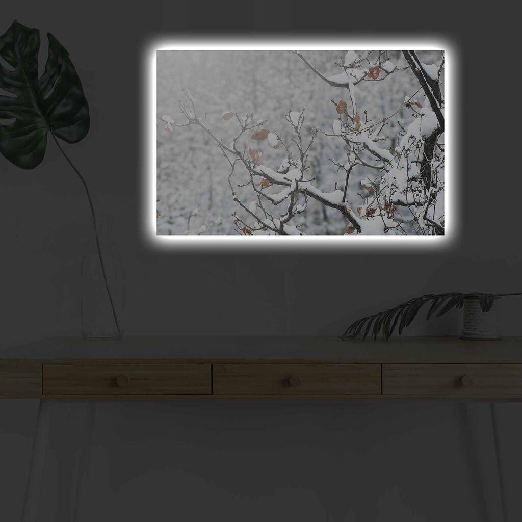 Zidna slika sa LED osvjetljenjem 4570DHDACT-029, 45x70 cm