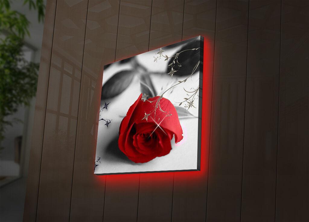 Zidna slika sa LED osvetljenjem 4040DACT-26, 40x40 cm