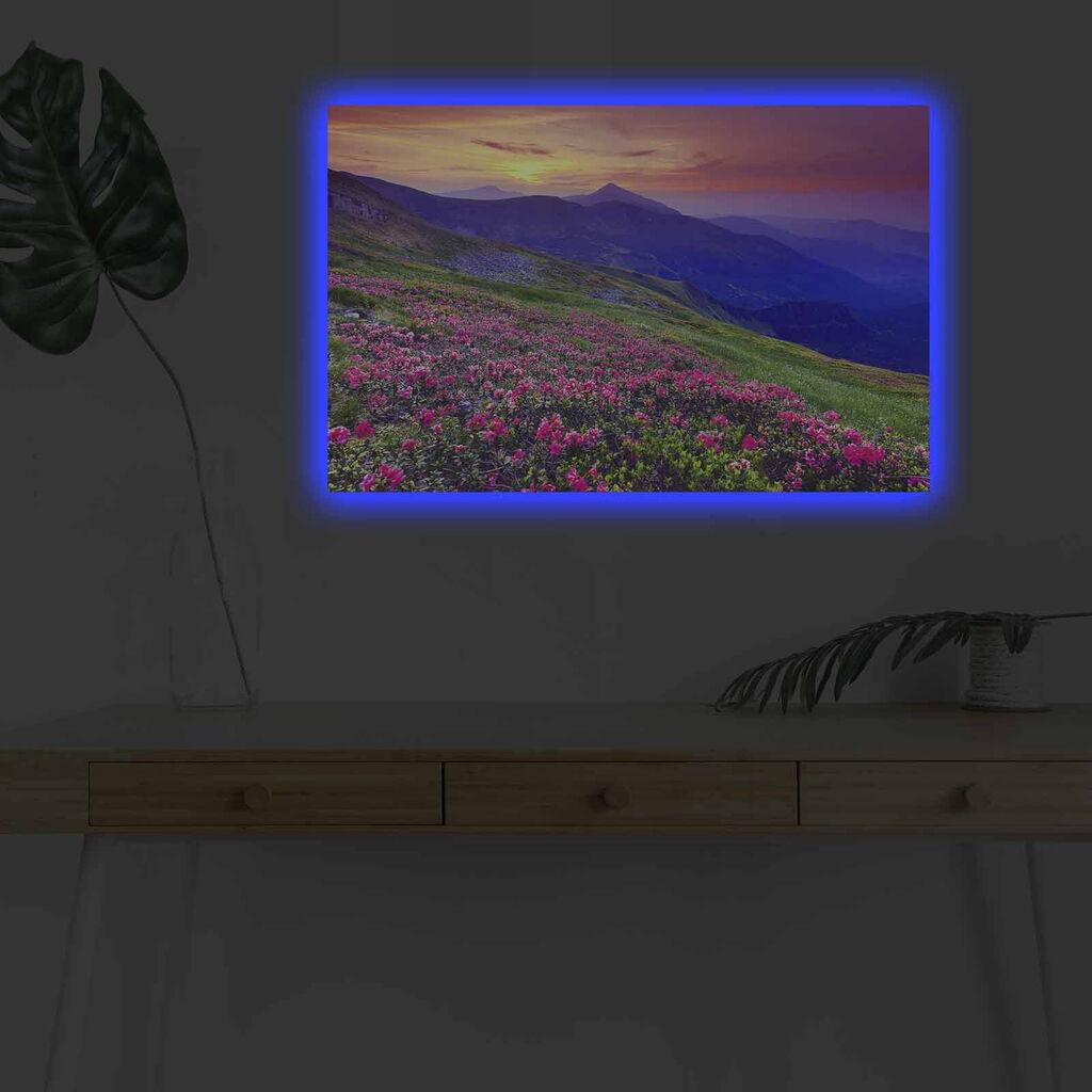 Zidna slika sa LED osvjetljenjem 4570DHDACT-094, 45x70 cm