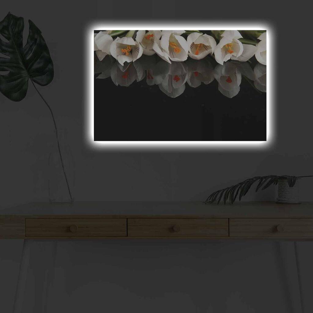 Zidna slika sa LED osvetljenjem 4570DHDACT-079, 45x70 cm