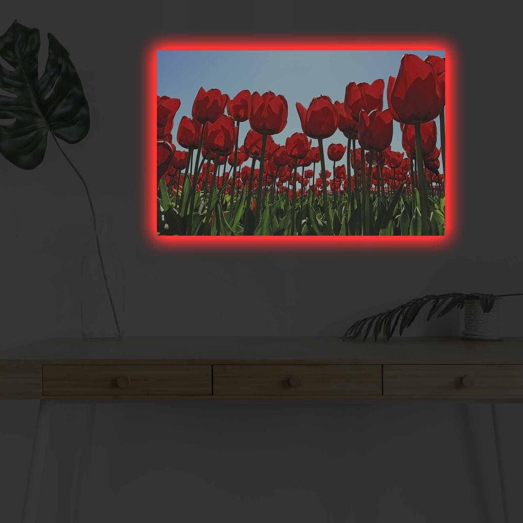 Zidna slika sa LED osvjetljenjem 4570DHDACT-036, 45x70 cm