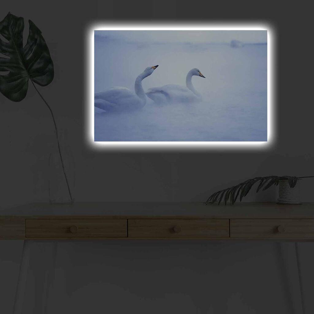 Zidna slika sa LED osvetljenjem 4570DHDACT-178, 45x70 cm