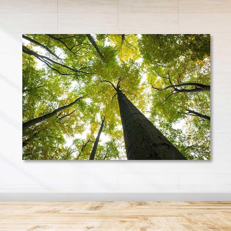 Slika Wallity DEV03455100140, 100x140 cm