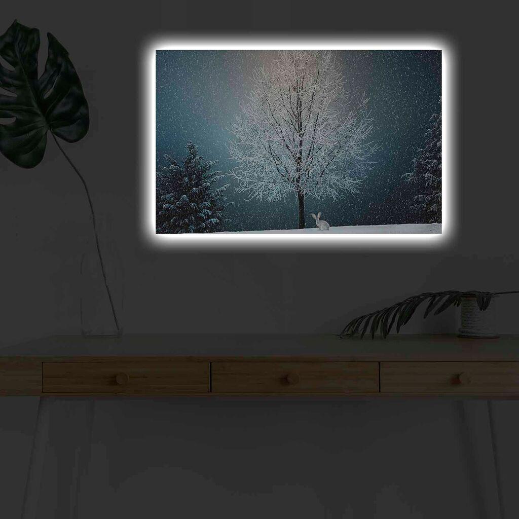 Zidna slika sa LED osvjetljenjem 4570KARDACT - 009, 45x70 cm