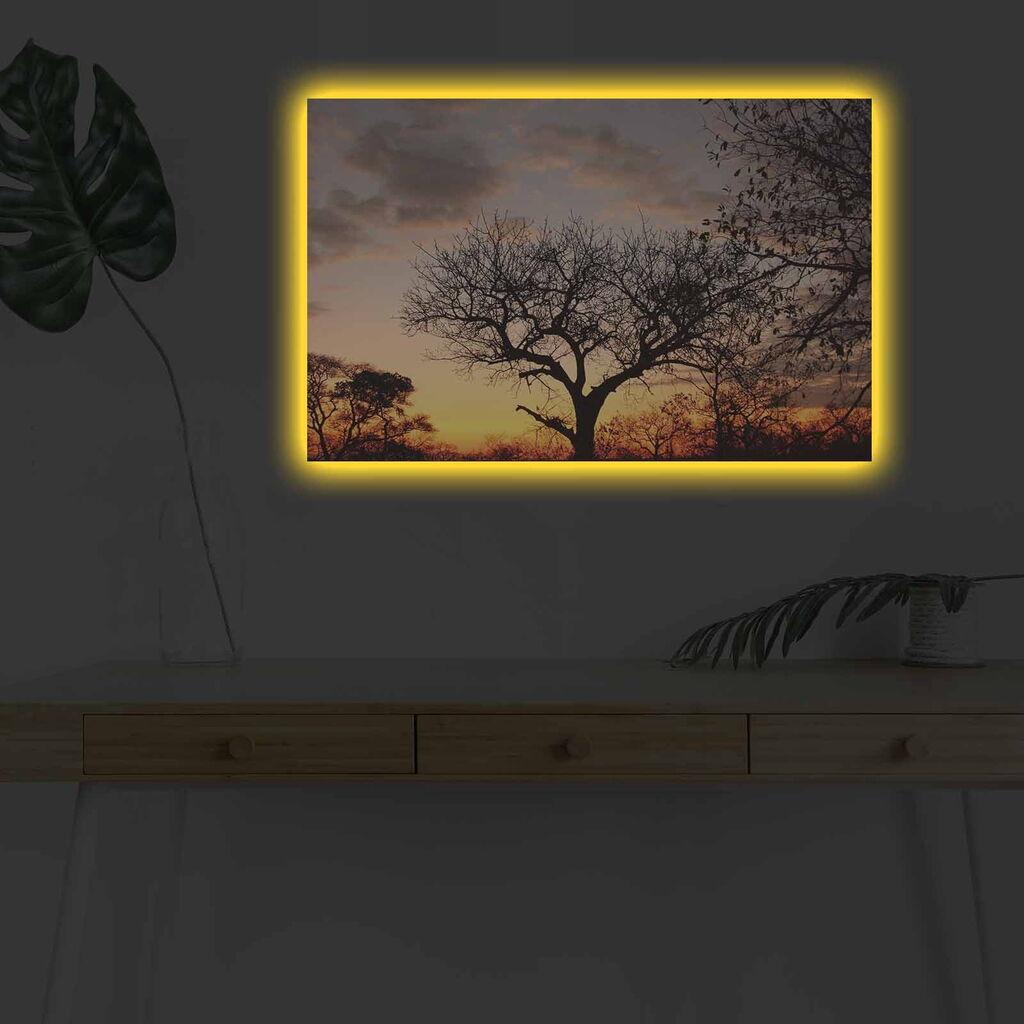 Zidna slika sa LED osvetljenjem 4570DHDACT-046, 45x70 cm