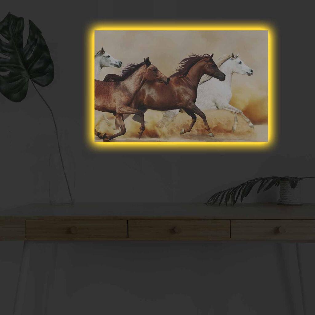 Zidna slika sa LED osvetljenjem 4570DHDACT-113, 45x70 cm