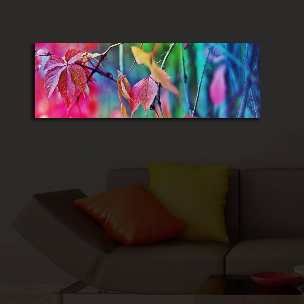 Zidna slika sa LED osvetljenjem 3090IACT-47, 30x90 cm