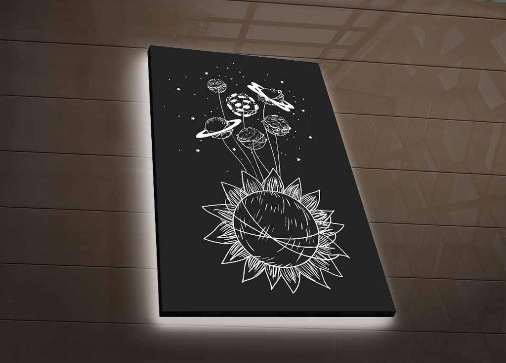 Zidna slika sa LED rasvjetom NASA-044, 45x70 cm