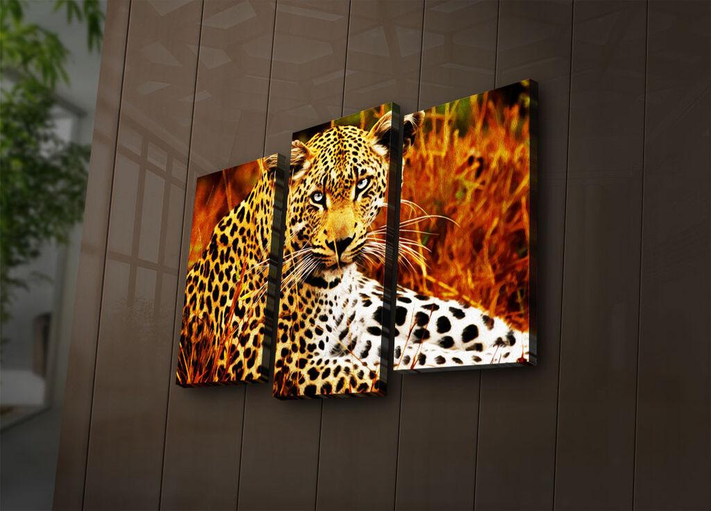 Wallity Set slika sa LED rasvjetom 3PATIACT-24, 3 dijela