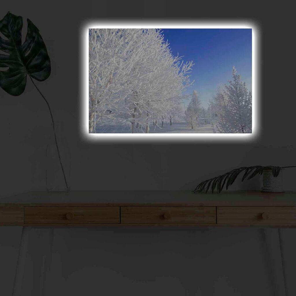 Zidna slika sa LED osvjetljenjem 4570KARDACT - 017, 45x70 cm