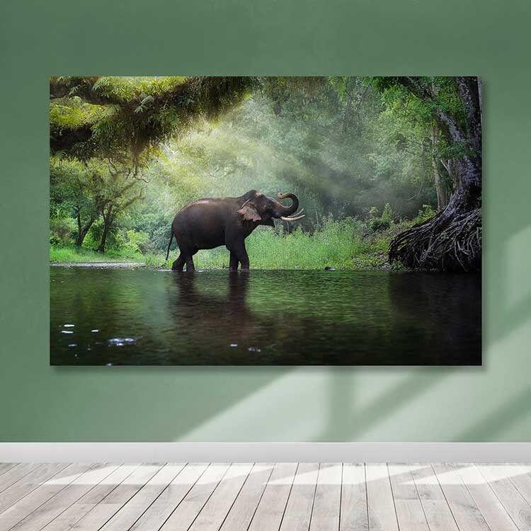 Zidna slika DEV02242100140, 100x140 cm