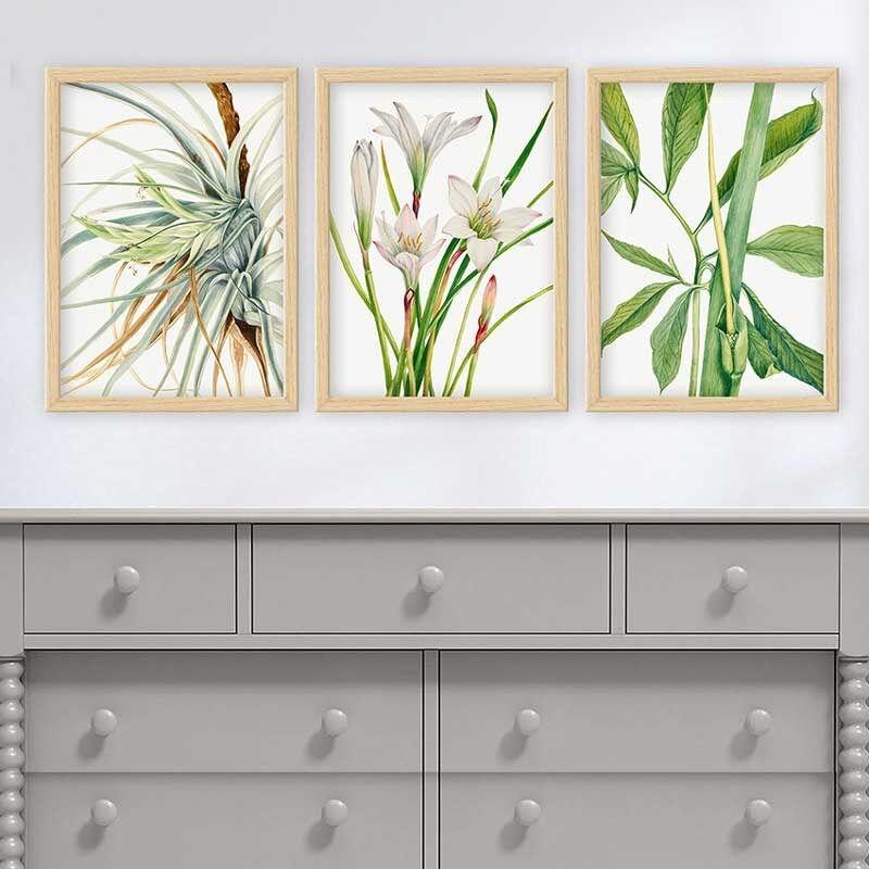Wallity Set uramljenih slika 3NTC_12621251, 3 dijela