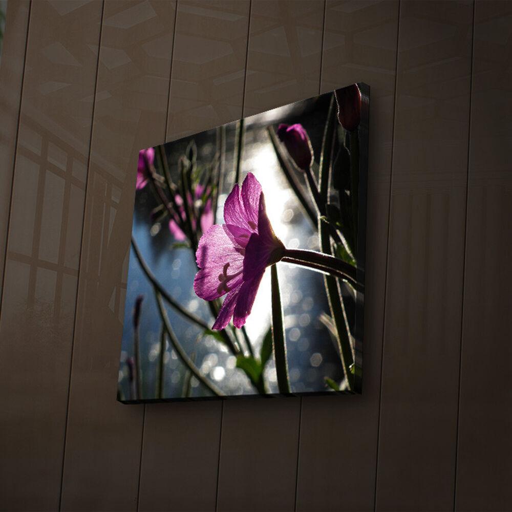 Zidna slika sa LED osvetljenjem 2828IACT-46, 28x28 cm