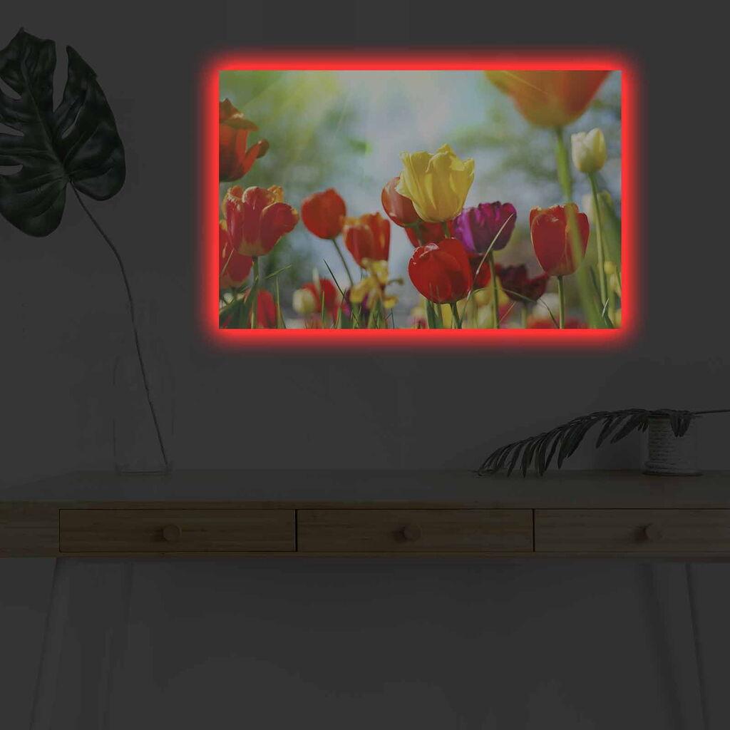 Zidna slika sa LED osvjetljenjem 4570DHDACT-078, 45x70 cm