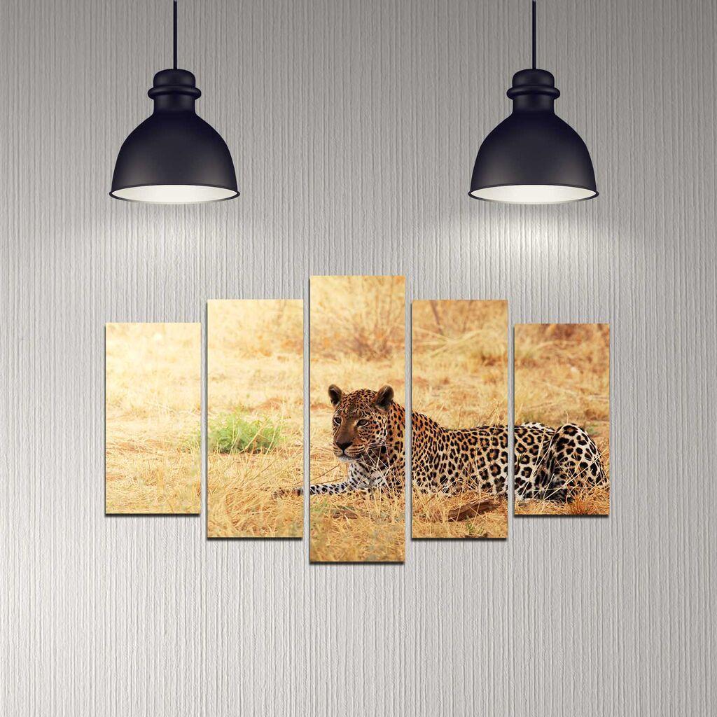 Wallity set figura 5DMDF-38, 5 dijelova
