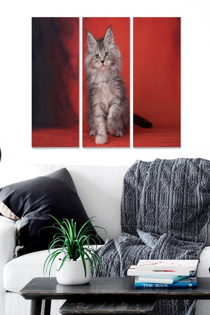 Set slika Wallity MDF183650808, 3 dijela