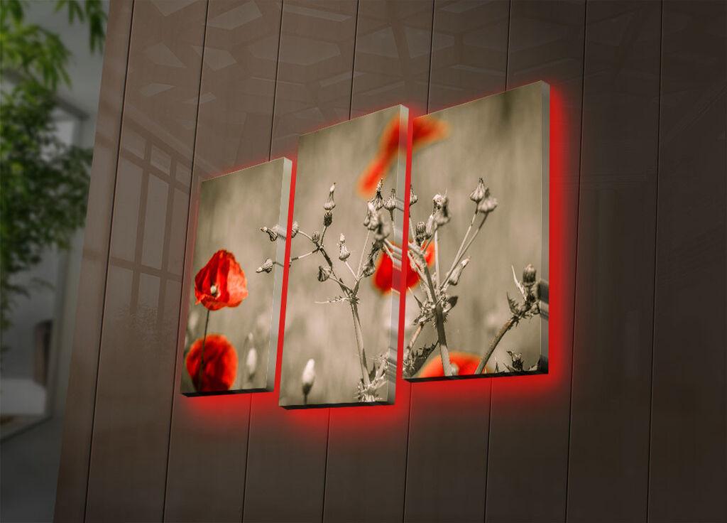 Wallity Set slika sa LED rasvjetom 3PATDACT-4, 3 dijela