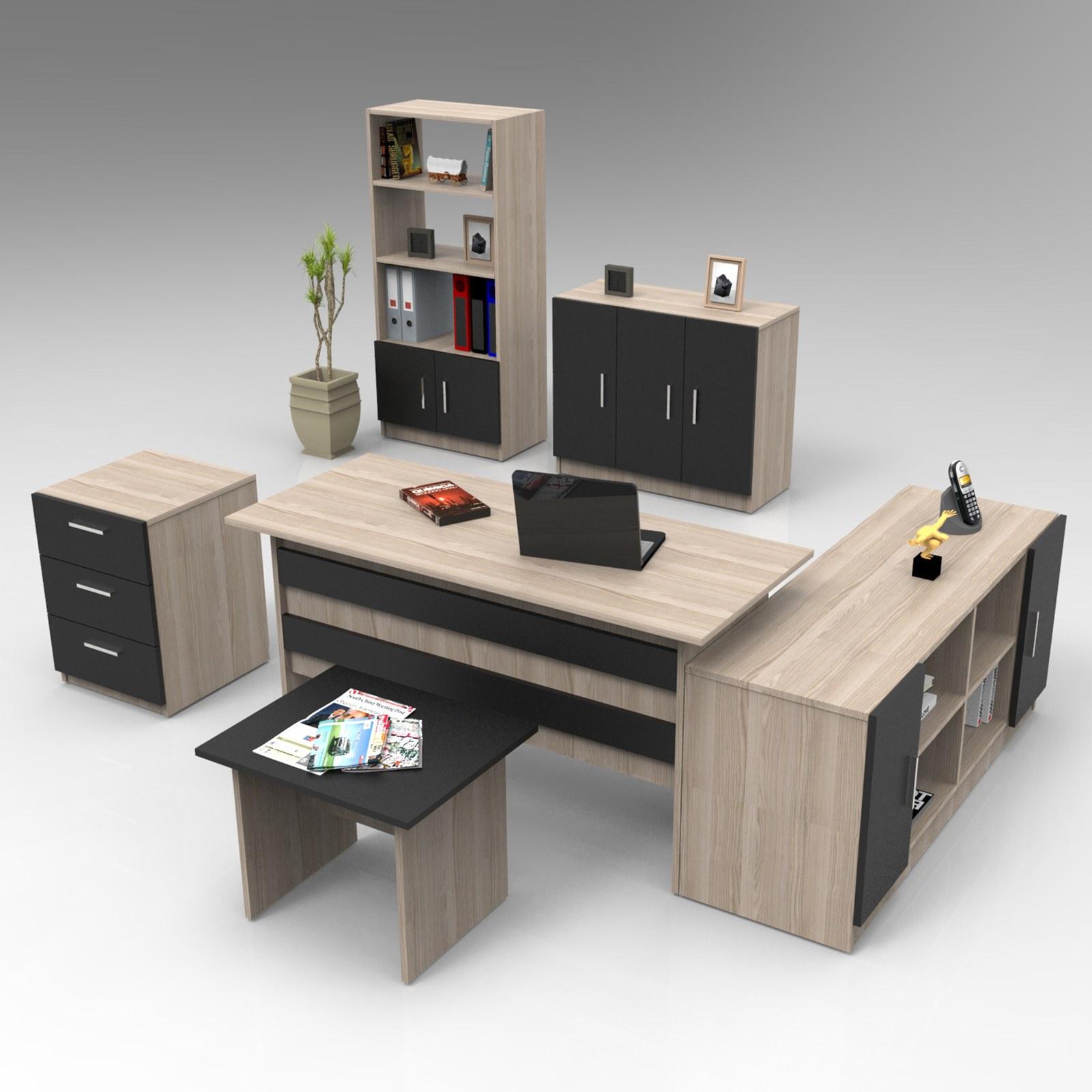 Hanah Home Kancelarijski set Hrast-Crni
