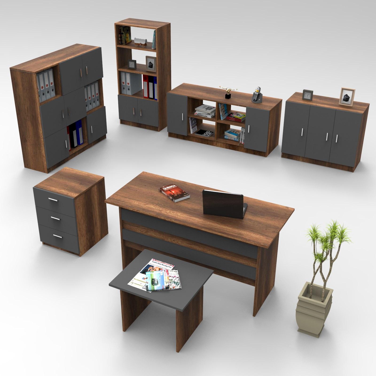 Hanah Home Kancelarijski set Braon-Antracit