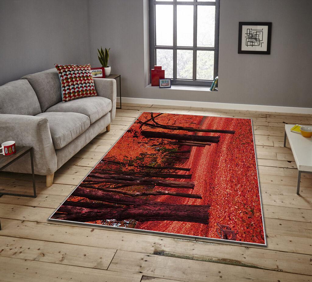 Conceptum Hypnose tepih Asr Crpt-15, pravougaoni, 160 x 230 cm, narandžasti