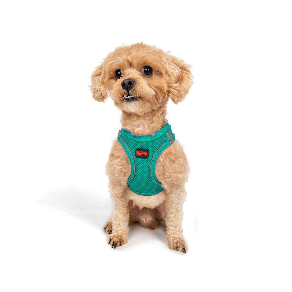 Paws & Whiskers Am za pse Air-Mesh, svijetlo zelene boje