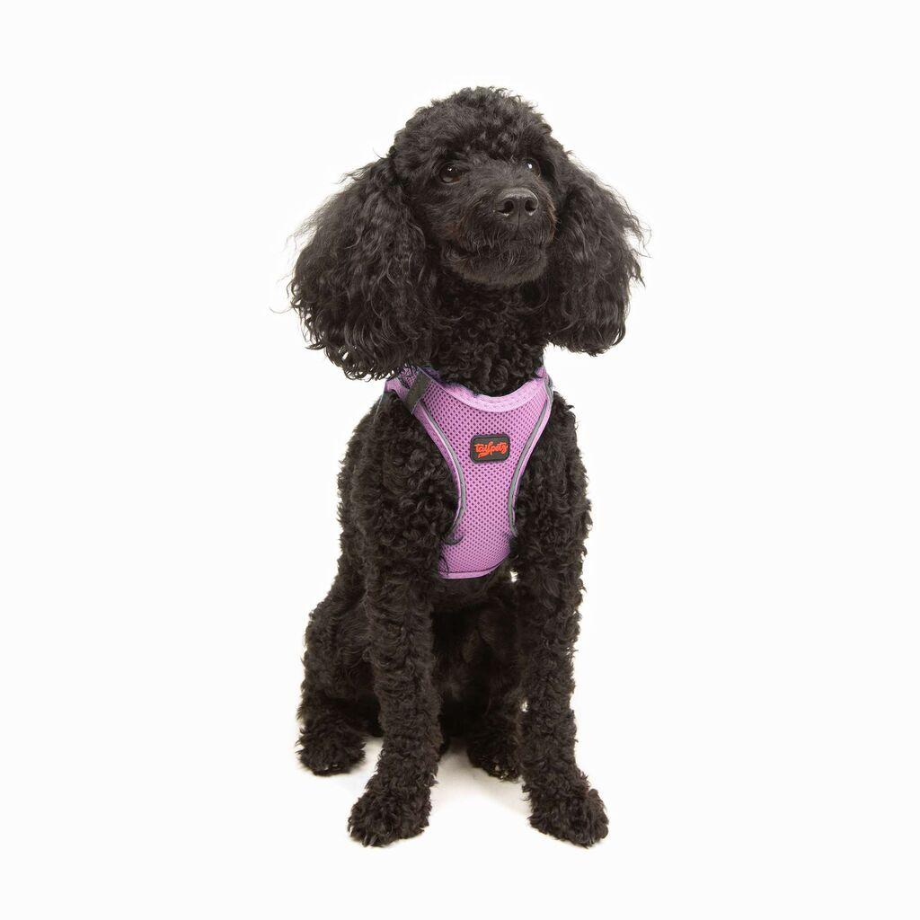 Paws & Whiskers Am za pse Air-Net, boja lavande