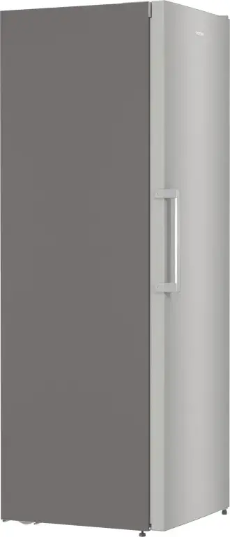 Gorenje FN619EES5 vertikalni zamrzivač