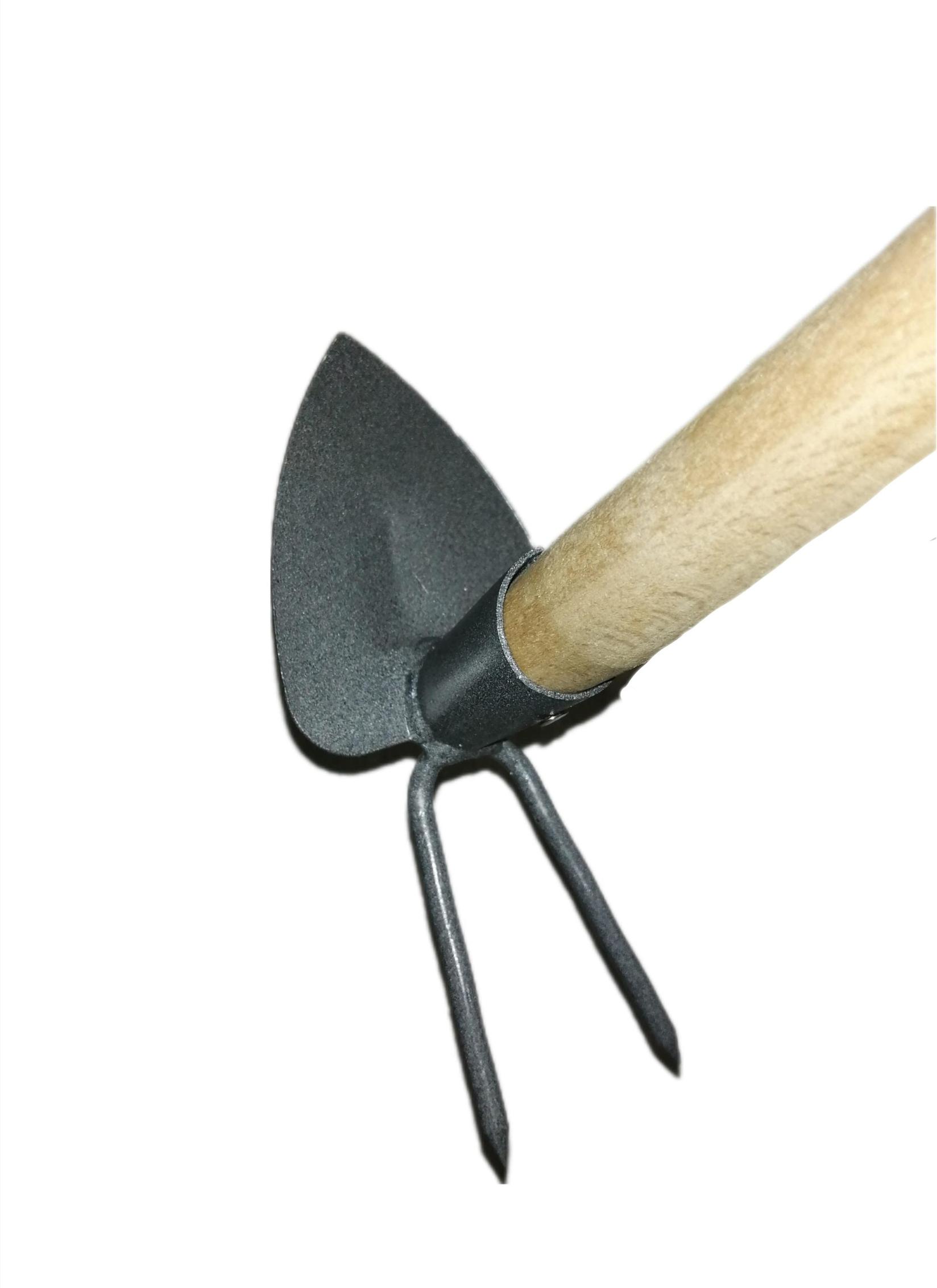 Misko Motika Srpska Špicasta