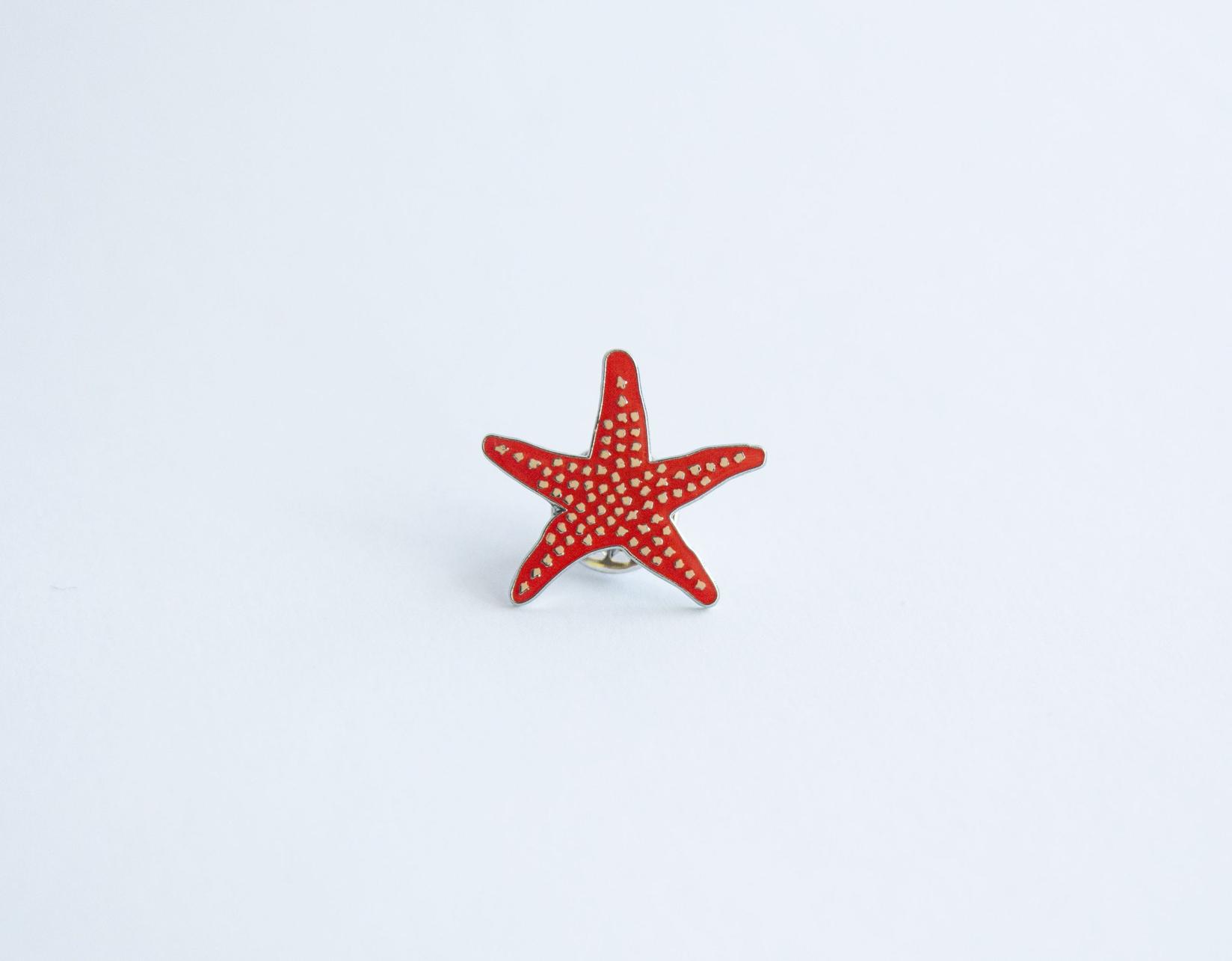 Monticola Bedž  Morska zvijezda (Asteroidea)