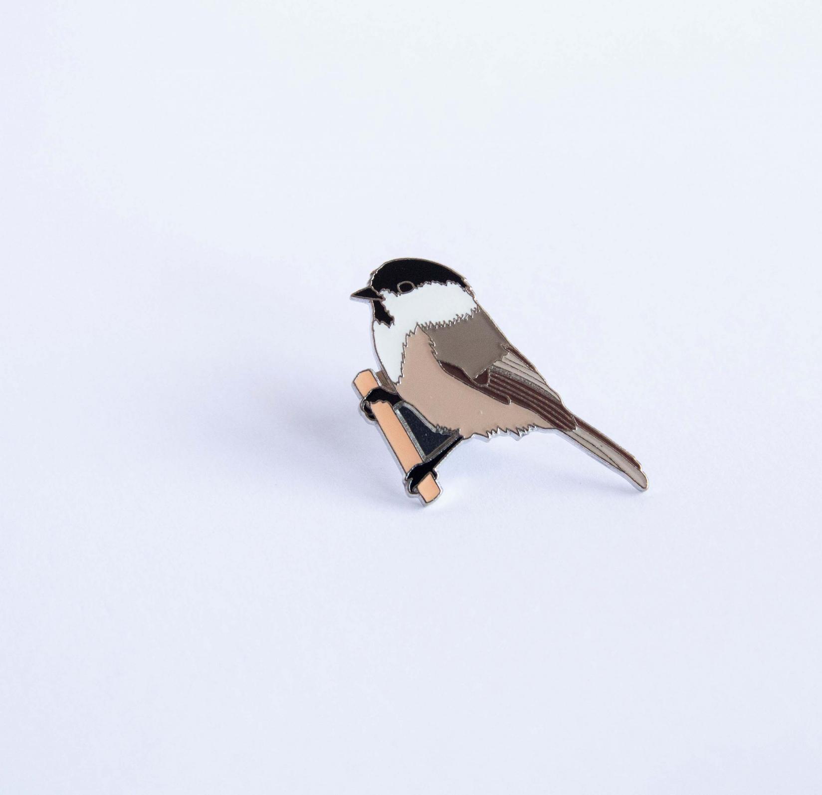 Monticola Bedž  Planinska sjenica (Poecile montanus)