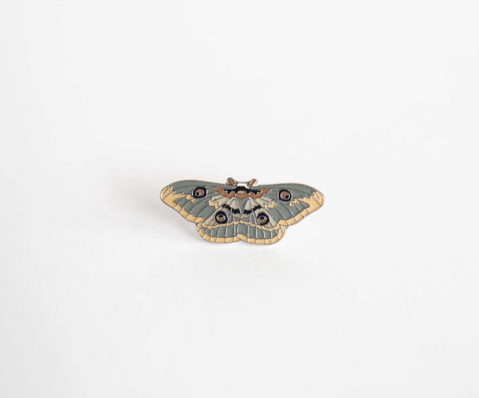 Monticola Bedž  Veliki noćni paunovac (Saturnia pyri)