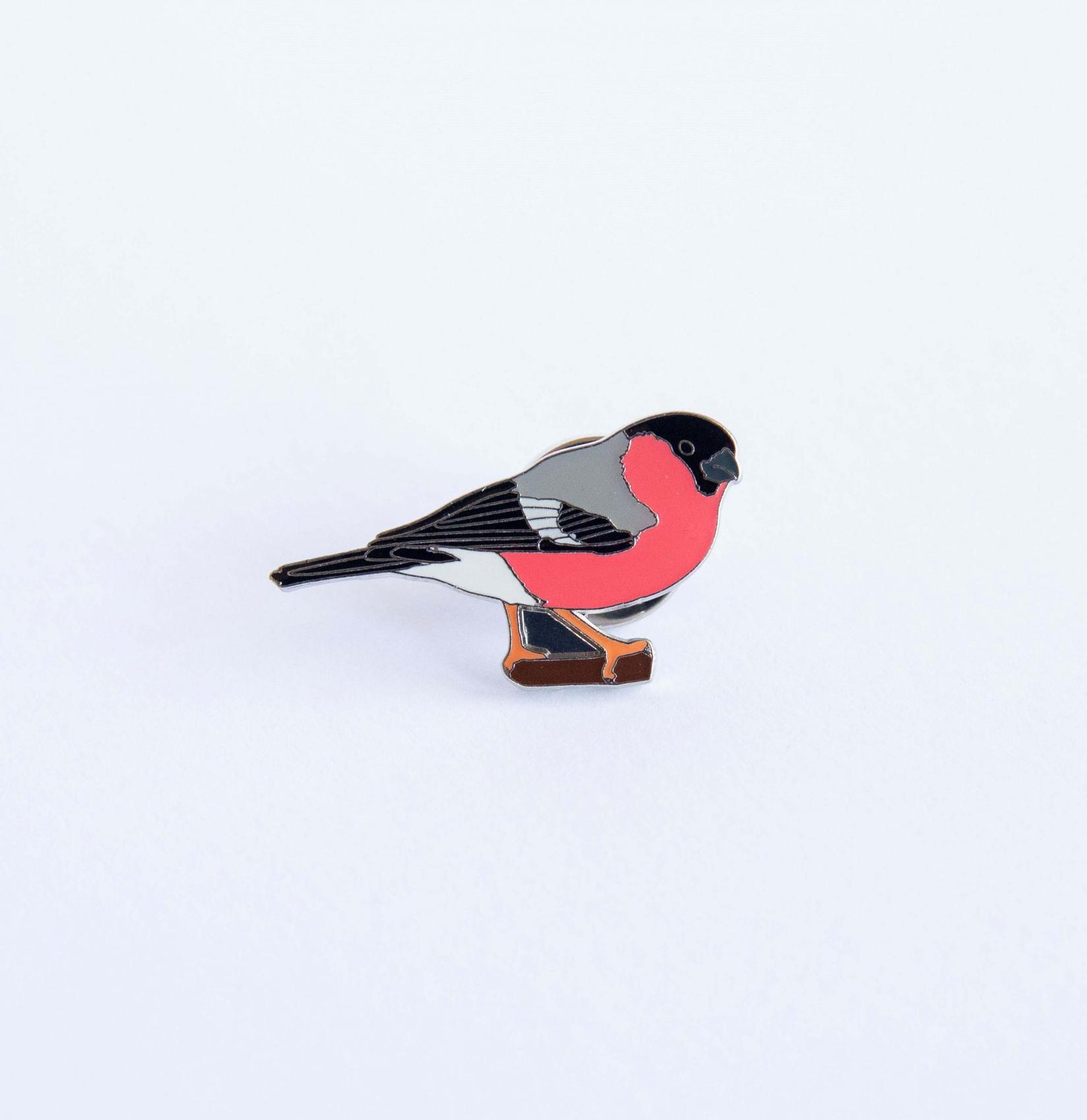 Monticola Bedž  Zimovka (Pyrrhula pyrrhula)