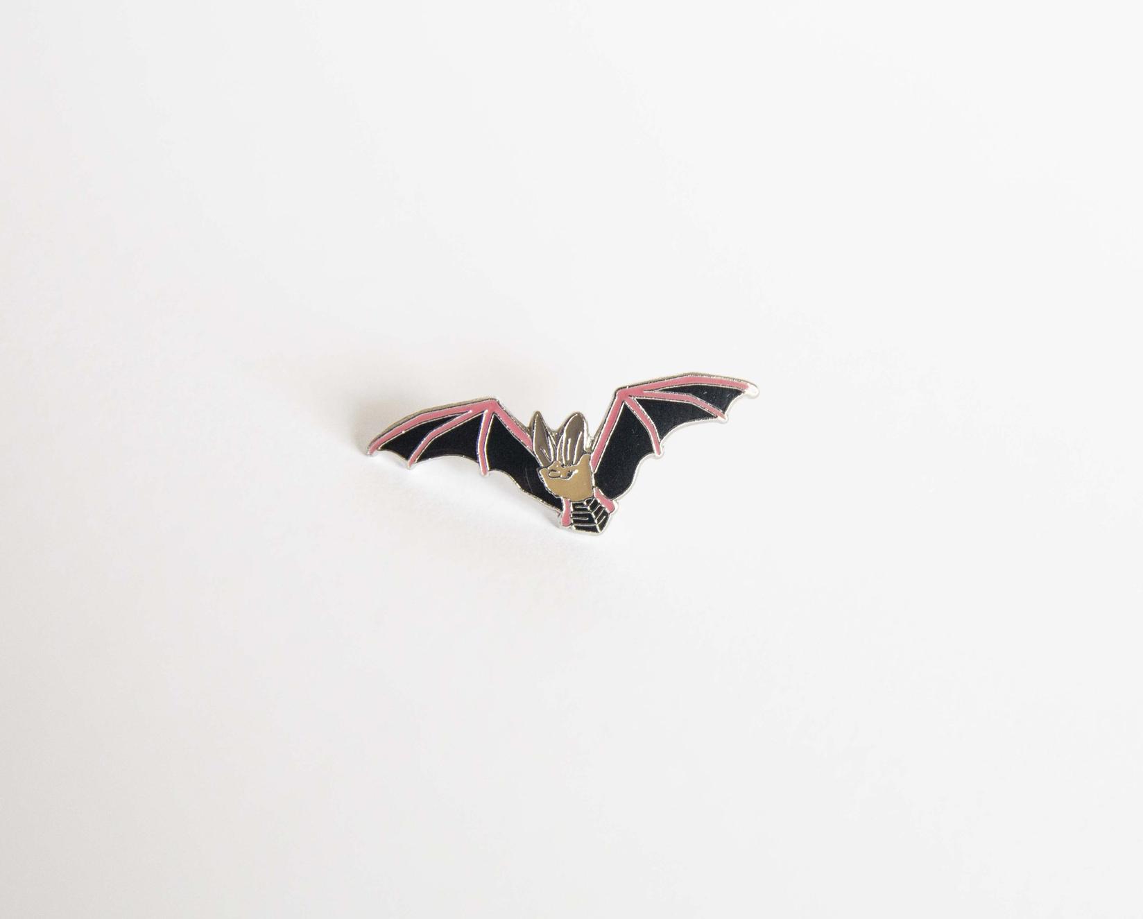 Monticola Bedž  Evropski smeđi dugoušan (Plecotus auritus)