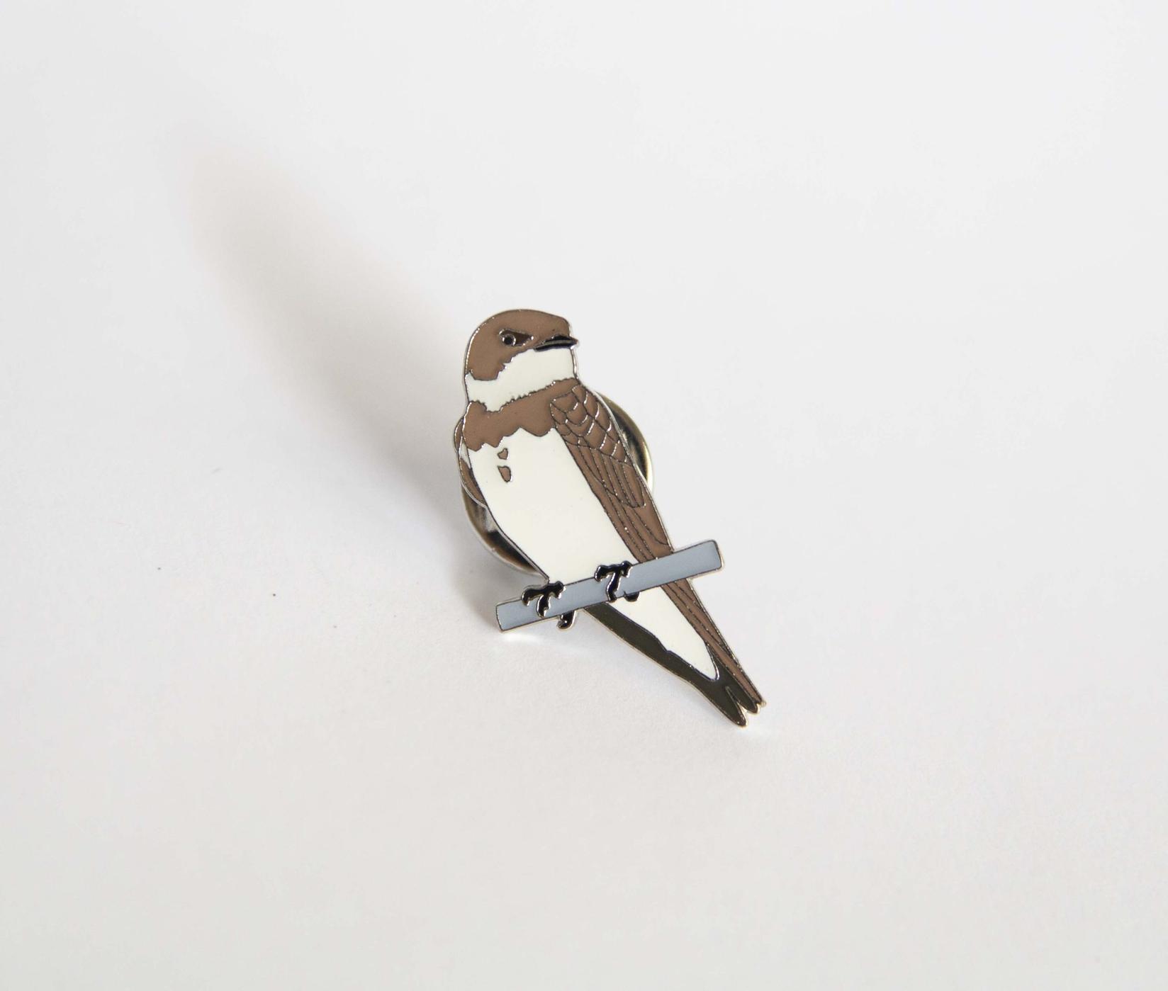 Monticola Bedž  Lasta bregunica (Riparia riparia)