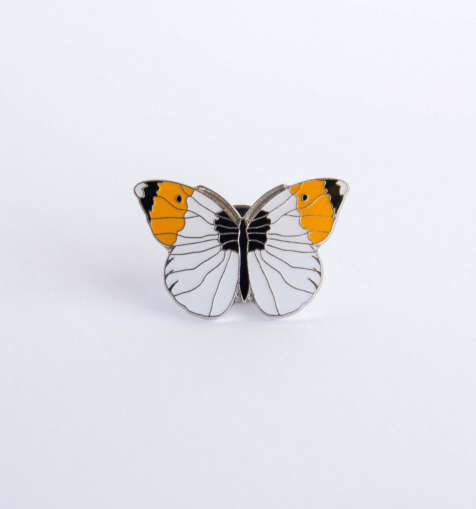 Monticola Bedž  Zorica (Anthocharis cardamines)