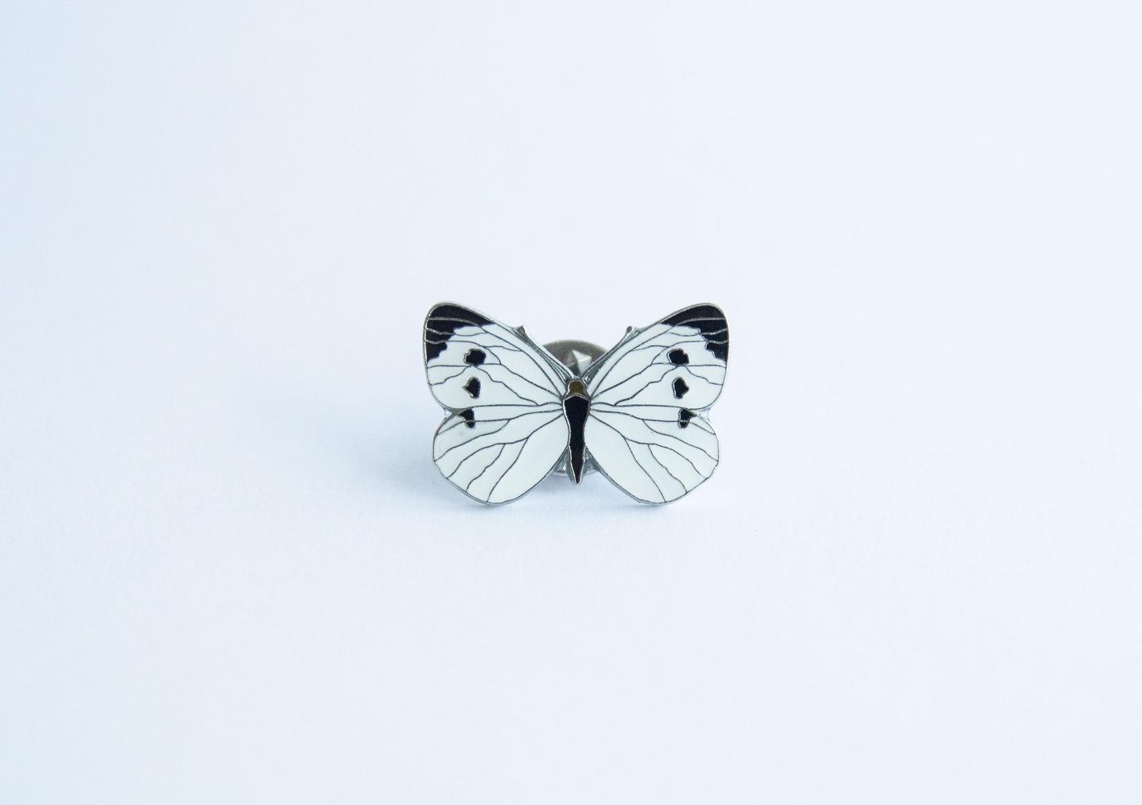 Monticola Bedž  Veliki kupusar (Pieris brassicae)