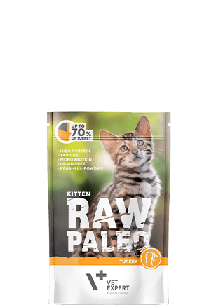Raw Paleo Kitten Turkey