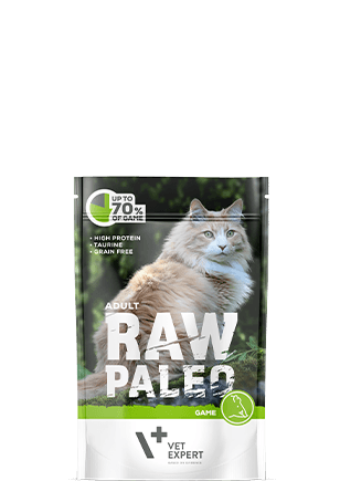 Raw Paleo Adult Game