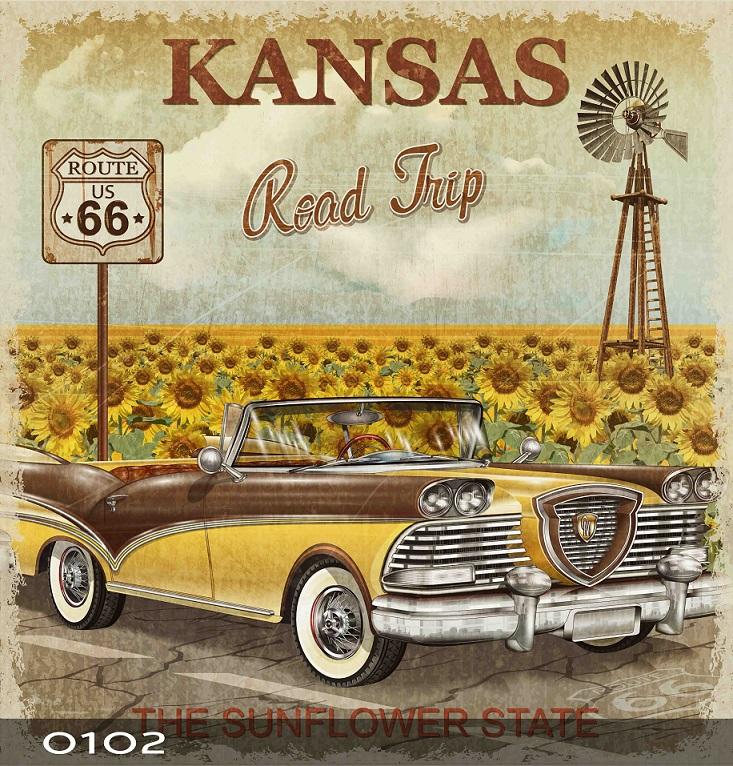 Slika Kanzas, Šarena