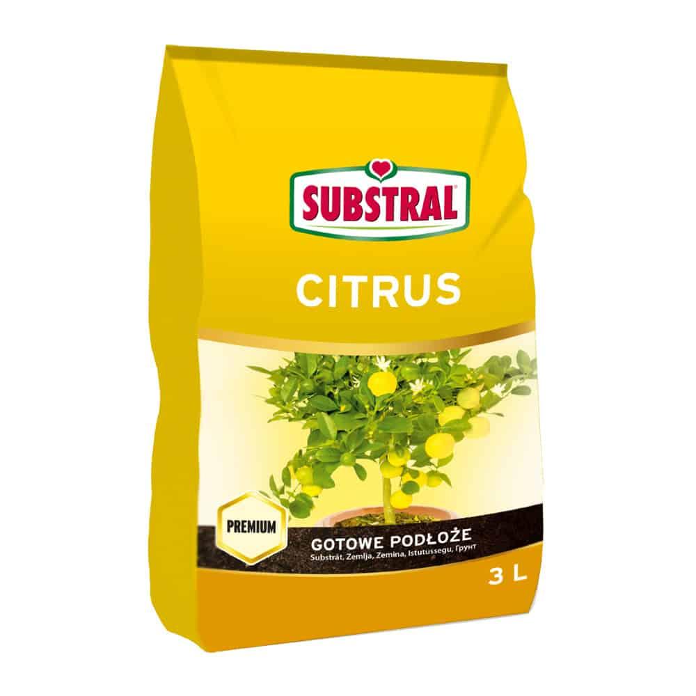 Substral SB Zemlja za CITRUSE 3l