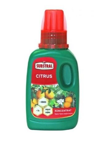Substral SB Tečno djubrivo za CITRUSE 250 ml