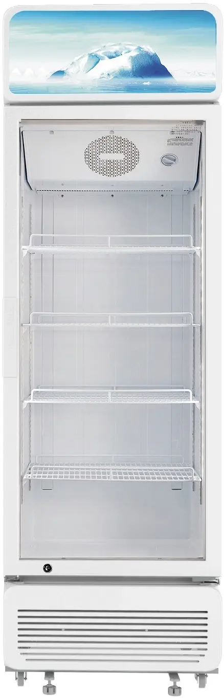 Arielli Rashladna vitrina Asc-416Gw, 421l, Bijela